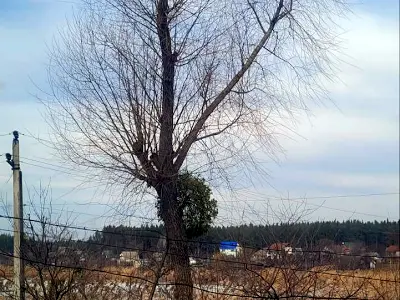 дом по адресу Прирічна