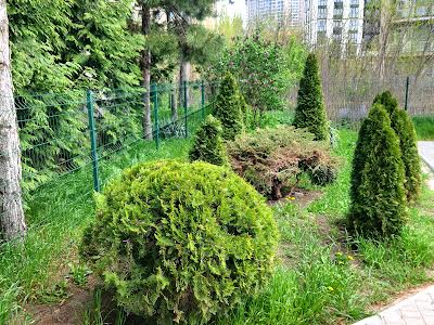 дом по адресу Бернардацци ул. (Красных Зорь), 12а