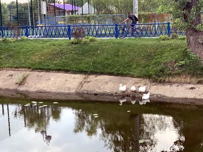 квартира за адресою Центральна вул., 11