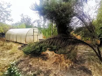 дом по адресу Будівельників вул.