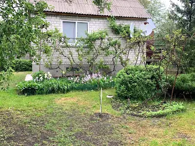 будинок за адресою Южная, 3