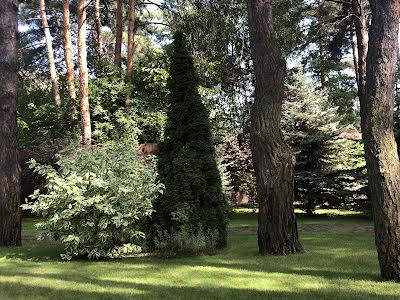 дом по адресу с. Старые петровцы, Берегова