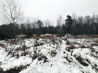 участок по адресу с. Дмитровка, Зелена