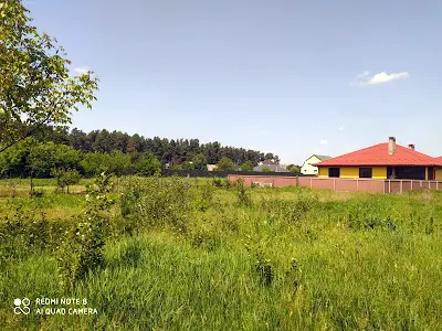 будинок за адресою Лісова