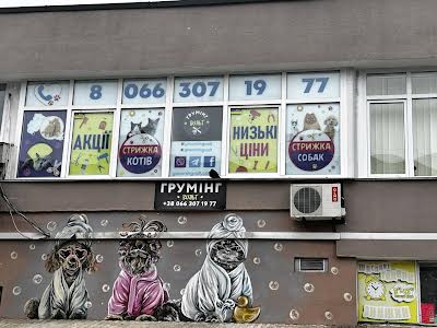 коммерческая по адресу вул.Миколайчука Івана, 11
