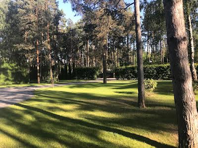 будинок за адресою с. Лебедівка, Петра Сагайдачного, 50