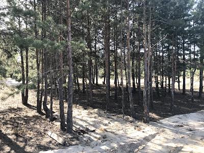 ділянка за адресою Петра Сагайдачного