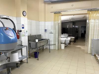 комерційна за адресою Василя Довгича вул., 2