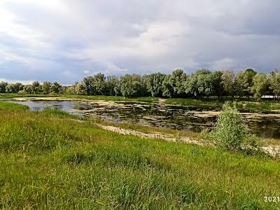 дом по адресу с. Гоголев, Калинина, 21а