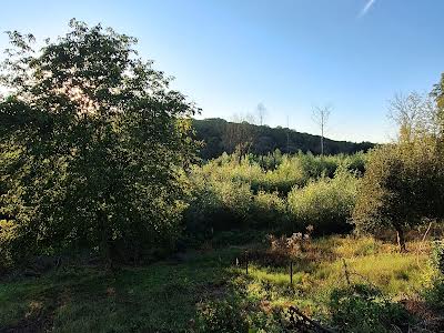 ділянка за адресою Зарічна вул., 139