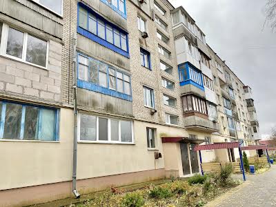 квартира за адресою Заводська вул. (Петровського), 95