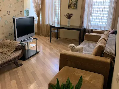 квартира за адресою Гетьмана Павла Скоропадського вул. (Льва Толстого), 43
