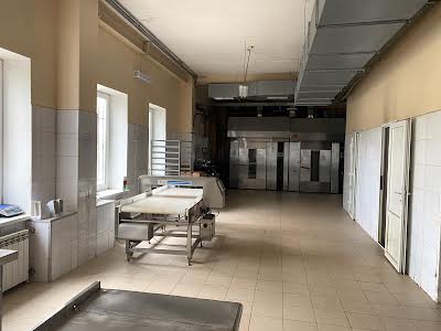 комерційна за адресою Василя Довгича вул., 2
