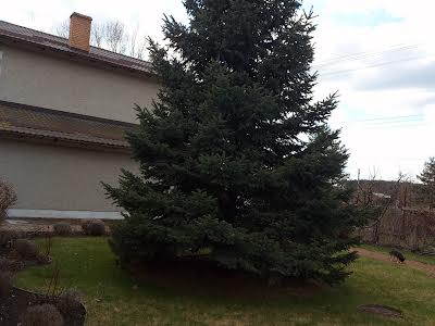 дом по адресу Центральна, 37
