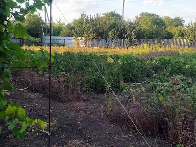 дом по адресу Петровская