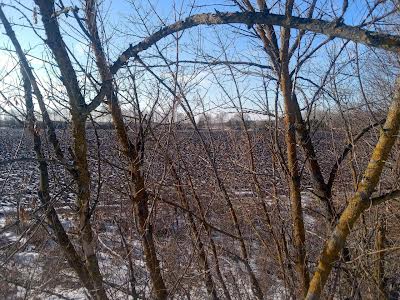 ділянка за адресою с. Вороньків, 