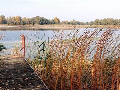 будинок за адресою Набережна вул.