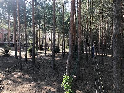 будинок за адресою с. Лебедівка, Петра Сагайдачного