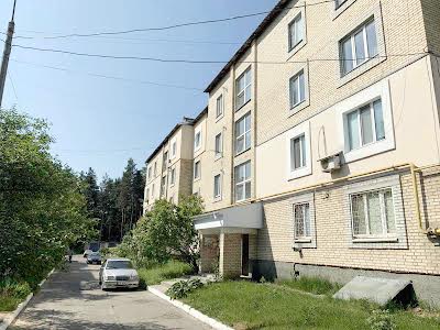 квартира за адресою Соснова, 6