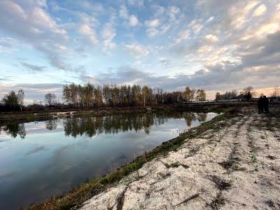 будинок за адресою с. Нижча Дубечня, Леніна