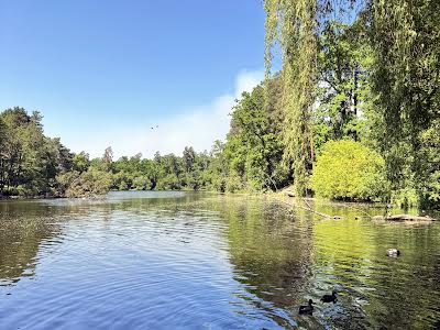 квартира за адресою Квітки Цісик вул. (Гамарника), 32