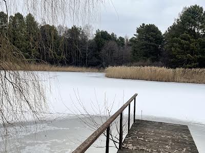 будинок за адресою центральна