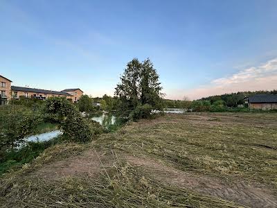 участок по адресу с. Петрушки, Лісова, 8