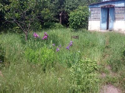 будинок за адресою Центральна