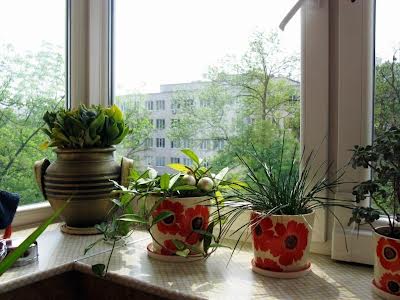 квартира по адресу Киев, Профессора Подвысоцкого ул., 6-А