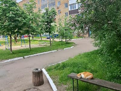квартира за адресою Бучанське шосе, 9