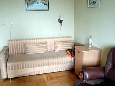 кімната за адресою Професора Павловського вул. (Боткіна), 3