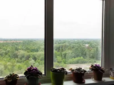 квартира по адресу Северная ул. (Північна), 2