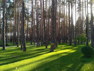 квартира по адресу Университетская ул., 3/11