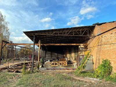 коммерческая по адресу Звенигородка, Небесної Сотні, 86а