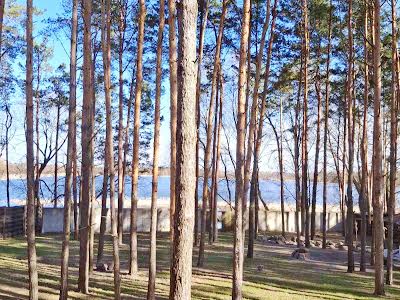 будинок за адресою с. Гавронщина, Жовтнева
