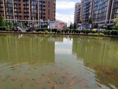 квартира за адресою Мартинова просп., 10
