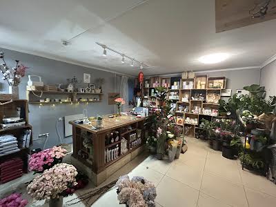 комерційна за адресою Пластова, 4