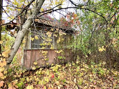 дом по адресу Аркадия Верзилова ул. (Орджоникидзе 2-й пер.)