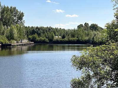 будинок за адресою с. Новосілки, Прирічна