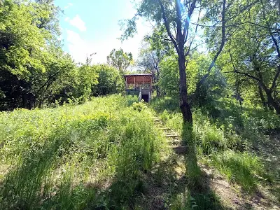 дом по адресу Ходосіївські сади