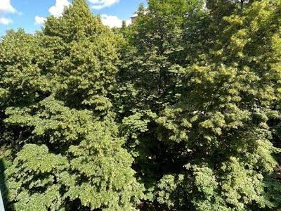 квартира за адресою Генерала Генадія Воробйова вул. (Курська), 13