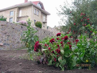 дом по адресу Гагаріна