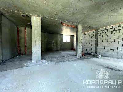 комерційна за адресою Ужгород, Заньковецької вул., 33