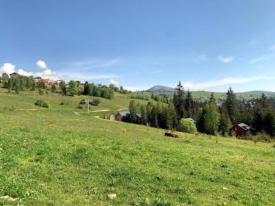 ділянка за адресою с. Яблуниця, Горішків