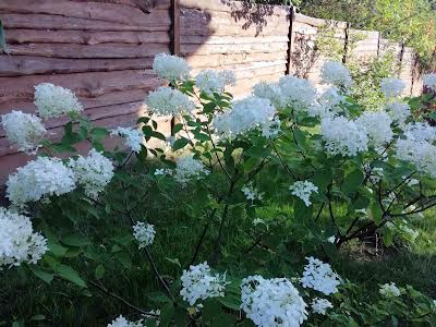 дом по адресу с. Музычи, Лісова, 5