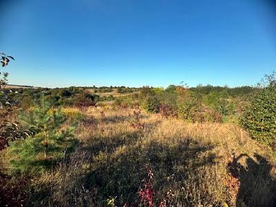 ділянка за адресою Малашівці СТ-Дружба