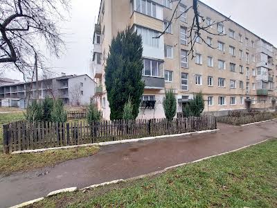 квартира за адресою Княгині Ольги вул., 6