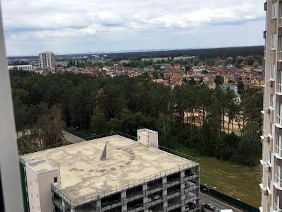 квартира за адресою В'ячеслава Чорновола вул., 9