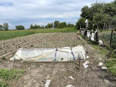 дом по адресу пгт. Олишевка, Олишівка