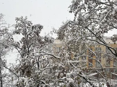 квартира по адресу Леси Украинки бульв., 14б